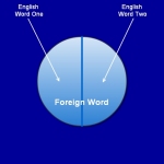 A Foreign Word With Multiple English Translations