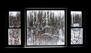 Winter Wonderland Window